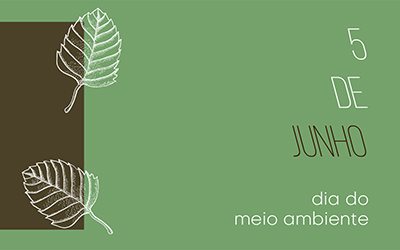 Meio Ambiente